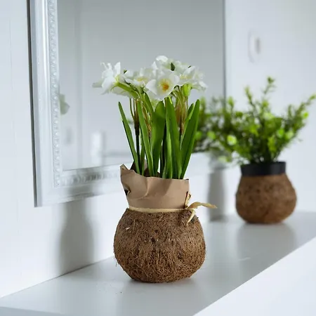 فندق مبيت وإفطار Breakfast In Bed Hörschhausen