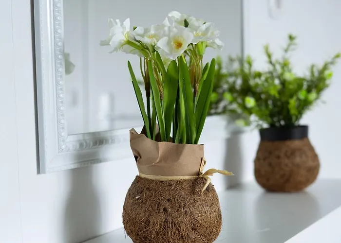 Frühstückspension Breakfast In Bed Hörschhausen