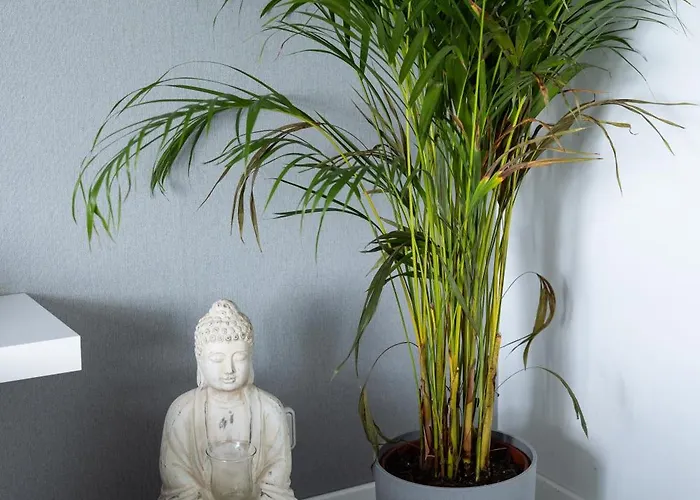 Breakfast In Bed Frühstückspension Hörschhausen